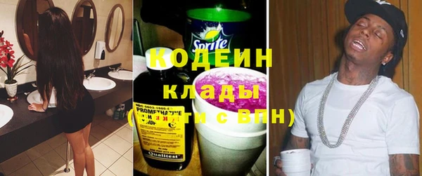 прущие грибы Пересвет