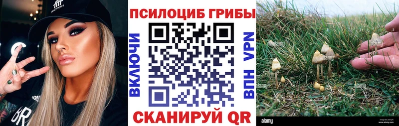 Галлюциногенные грибы прущие грибы  Кяхта 